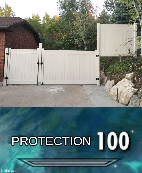 protection 100 | PROTECTION | image tagged in skyrim skill meme,lol,funny,lol so funny,you had one job,you had one job just the one | made w/ Imgflip meme maker