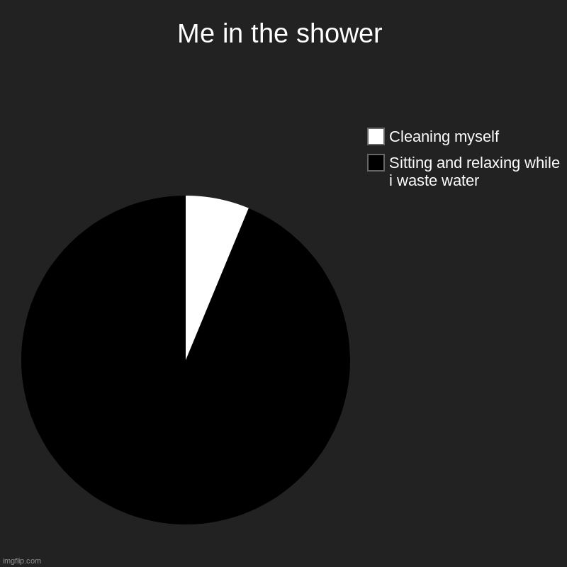 me in the shower | Me in the shower | Sitting and relaxing while i waste water, Cleaning myself | image tagged in charts,pie charts | made w/ Imgflip chart maker