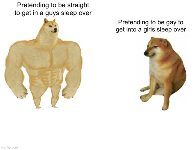 Buff Doge vs. Cheems Meme | Pretending to be straight to get in a guys sleep over; Pretending to be gay to get into a girls sleep over | image tagged in memes,buff doge vs cheems | made w/ Imgflip meme maker