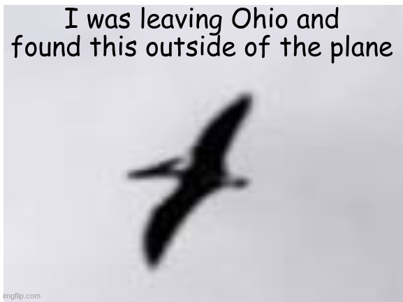 I was leaving Ohio and found this outside of the plane | made w/ Imgflip meme maker