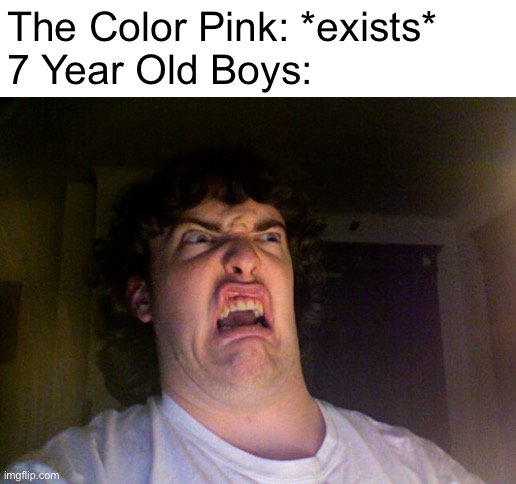 The Color Pink | The Color Pink: *exists*
7 Year Old Boys: | image tagged in memes,oh no,childhood,pink,funny,child | made w/ Imgflip meme maker
