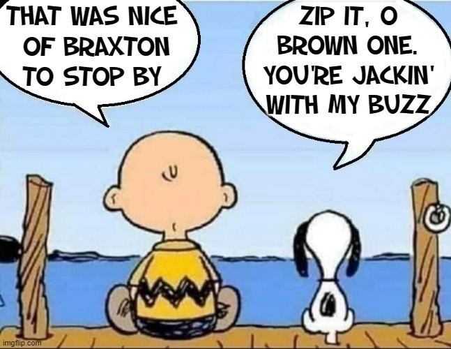 THAT WAS NICE
 OF BRAXTON
TO STOP BY ZIP IT, O
BROWN ONE.
YOU'RE JACKIN'
WITH MY BUZZ | made w/ Imgflip meme maker