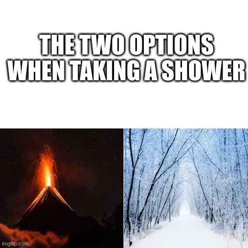 th two option when taking a shower | THE TWO OPTIONS WHEN TAKING A SHOWER | image tagged in memes,shower | made w/ Imgflip meme maker