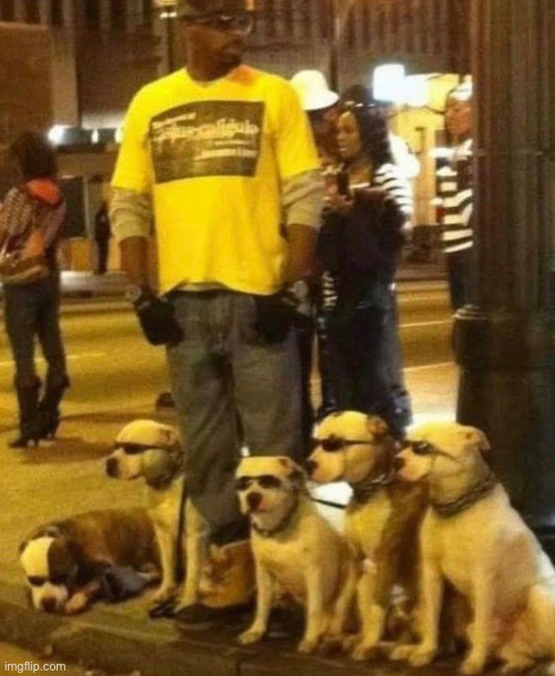 Shades, the Houndmaster | made w/ Imgflip meme maker