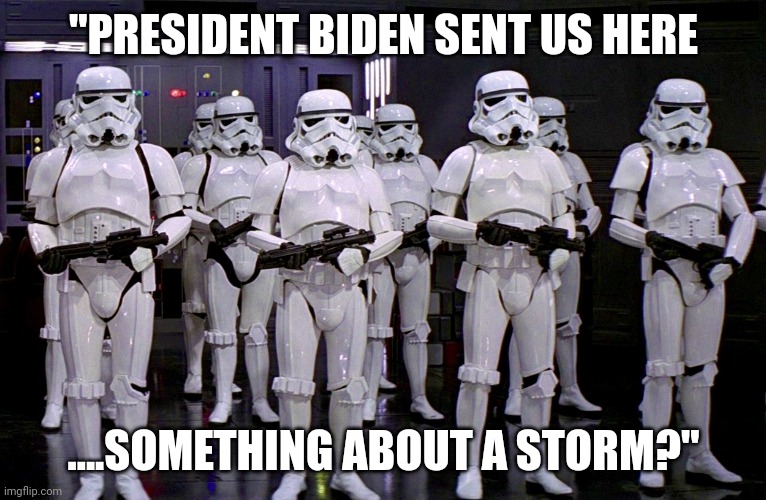 bidens response to the storm | "PRESIDENT BIDEN SENT US HERE; ....SOMETHING ABOUT A STORM?" | image tagged in imperial stormtroopers | made w/ Imgflip meme maker
