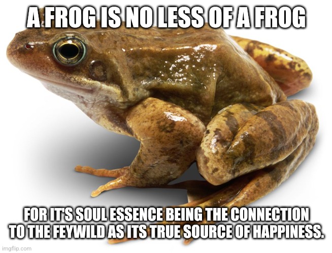 Frog essence |  A FROG IS NO LESS OF A FROG; FOR IT'S SOUL ESSENCE BEING THE CONNECTION TO THE FEYWILD AS ITS TRUE SOURCE OF HAPPINESS. | image tagged in relationships,happiness,marriage | made w/ Imgflip meme maker