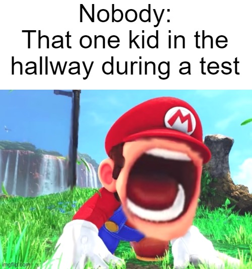 Real | Nobody:
That one kid in the hallway during a test | image tagged in mario screaming,memes,gifs,demotivationals,funny,school meme | made w/ Imgflip meme maker