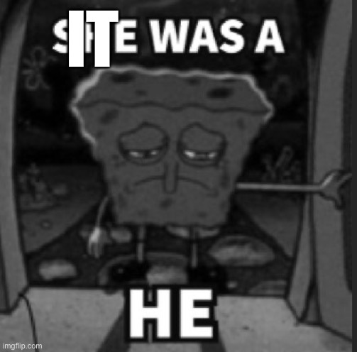 She was a he | IT | image tagged in she was a he | made w/ Imgflip meme maker