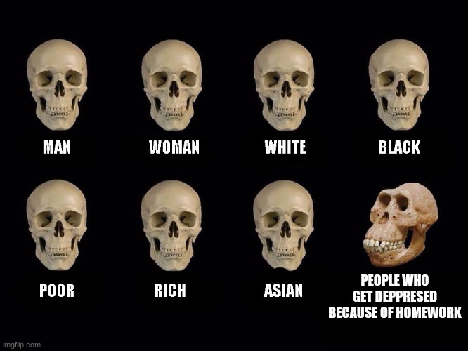 empty skulls of truth | PEOPLE WHO GET DEPRESSED BECAUSE OF HOMEWORK | image tagged in empty skulls of truth | made w/ Imgflip meme maker