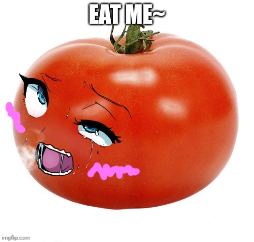 @aTomatoSapien012 | EAT ME~ | image tagged in tomatussy | made w/ Imgflip meme maker