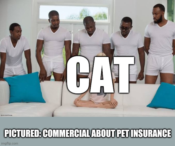 One girl five guys | CAT PICTURED: COMMERCIAL ABOUT PET INSURANCE | image tagged in one girl five guys | made w/ Imgflip meme maker