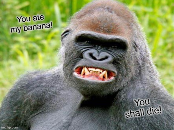 ANGRY GORILLA!!! |  You ate my banana! You shall die! | image tagged in gorilla | made w/ Imgflip meme maker