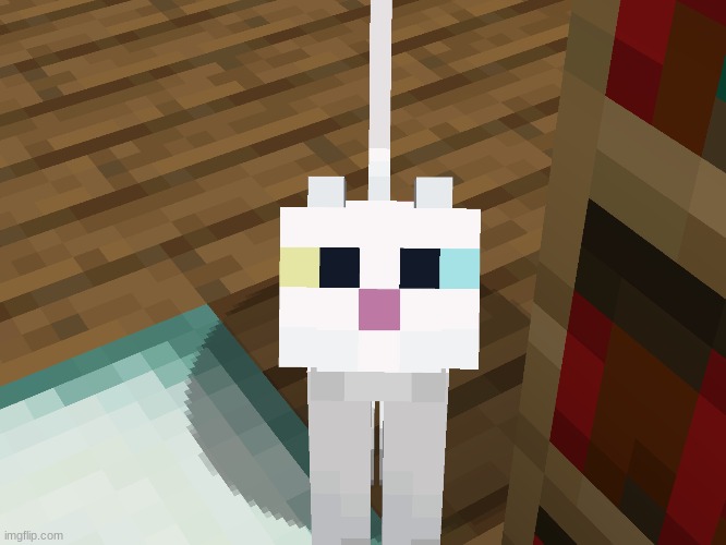 Catto | image tagged in minecraft | made w/ Imgflip meme maker