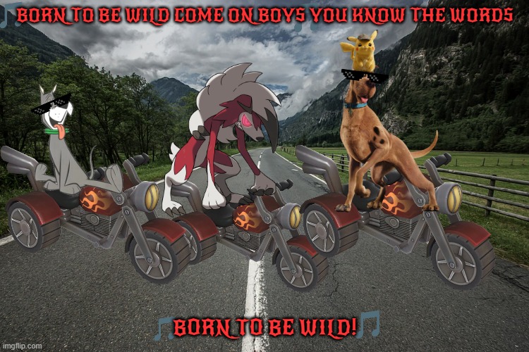 scooby and the boys ride again | BORN TO BE WILD COME ON BOYS YOU KNOW THE WORDS; BORN TO BE WILD! | image tagged in long road,dogs,wolves,memes,motorcycle | made w/ Imgflip meme maker