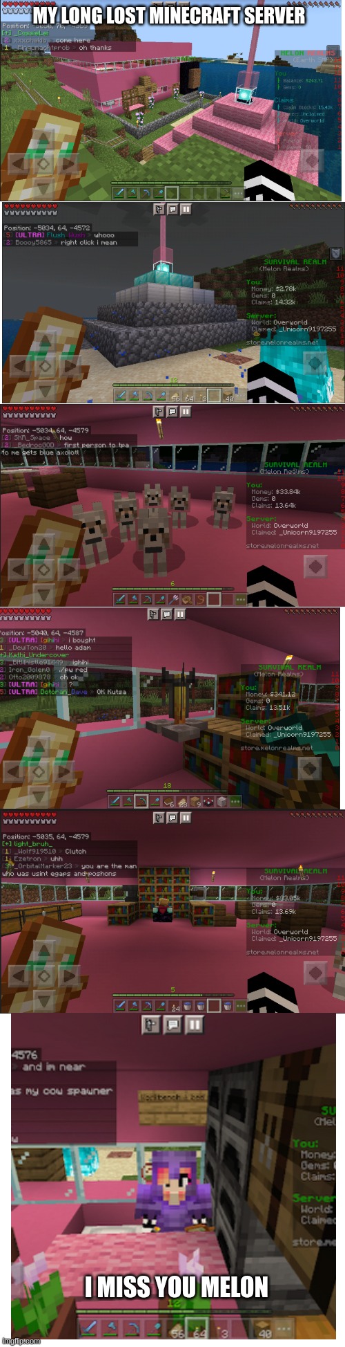 RIP Melon Realms | MY LONG LOST MINECRAFT SERVER; I MISS YOU MELON | image tagged in long blank white | made w/ Imgflip meme maker