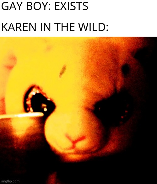 Bunny with a Knife Meme | GAY BOY: EXISTS; KAREN IN THE WILD: | image tagged in bunny with a knife,memes,karens | made w/ Imgflip meme maker