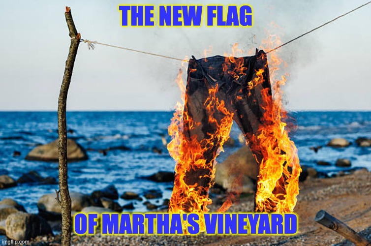 When your flag stands for who you are... | THE NEW FLAG; OF MARTHA'S VINEYARD | image tagged in martha's vineyard | made w/ Imgflip meme maker