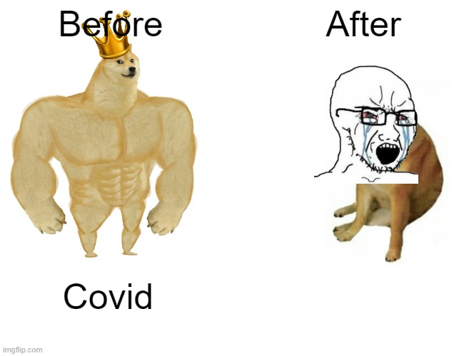 Buff Doge vs. Cheems | Before; After; Covid | image tagged in memes,buff doge vs cheems | made w/ Imgflip meme maker