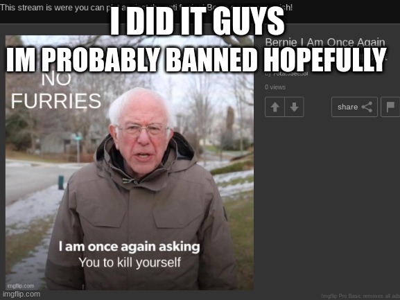 do it | IM PROBABLY BANNED HOPEFULLY; I DID IT GUYS | image tagged in anti furry | made w/ Imgflip meme maker