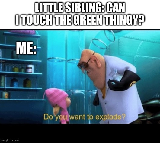 hehe | LITTLE SIBLING: CAN I TOUCH THE GREEN THINGY? ME: | image tagged in do you want to explode | made w/ Imgflip meme maker