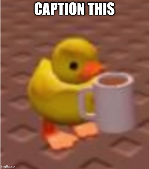 duckie | CAPTION THIS | made w/ Imgflip meme maker