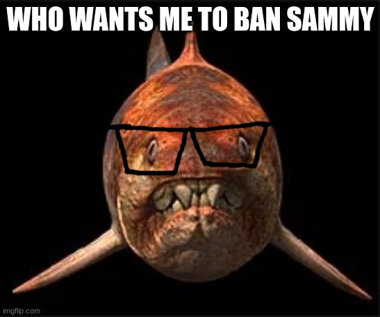 nerdunk | WHO WANTS ME TO BAN SAMMY | image tagged in nerdunk | made w/ Imgflip meme maker