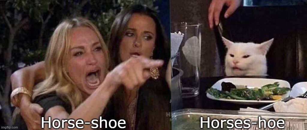 Horseshoe | Horse-shoe; Horses-hoe | image tagged in woman yelling at cat | made w/ Imgflip meme maker