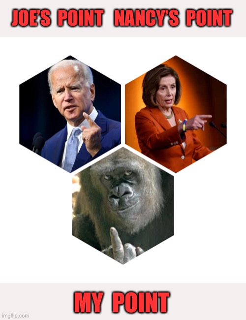 To the point | JOE’S  POINT   NANCY’S  POINT; MY  POINT | image tagged in to the point,joe biden,nancy pelosi,no point,my point,politics | made w/ Imgflip meme maker