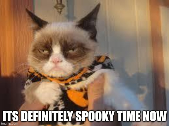 Grumpy Cat Halloween Meme | ITS DEFINITELY SPOOKY TIME NOW | image tagged in memes,grumpy cat halloween,grumpy cat | made w/ Imgflip meme maker