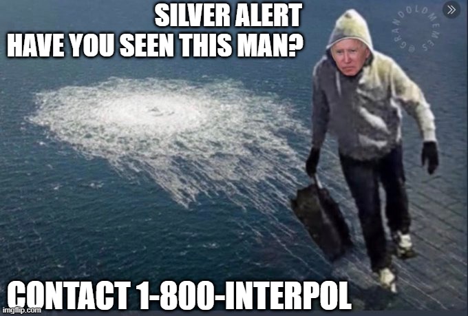 Silver Alert | SILVER ALERT
HAVE YOU SEEN THIS MAN? CONTACT 1-800-INTERPOL | image tagged in silver alert,pipeline,interpol | made w/ Imgflip meme maker