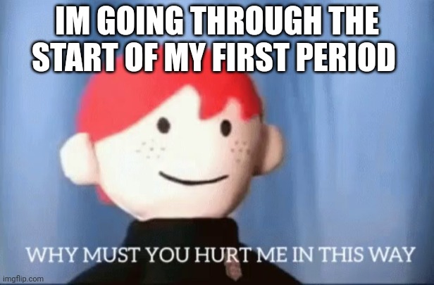 why must you hurt me in this way | IM GOING THROUGH THE START OF MY FIRST PERIOD | image tagged in why must you hurt me in this way | made w/ Imgflip meme maker