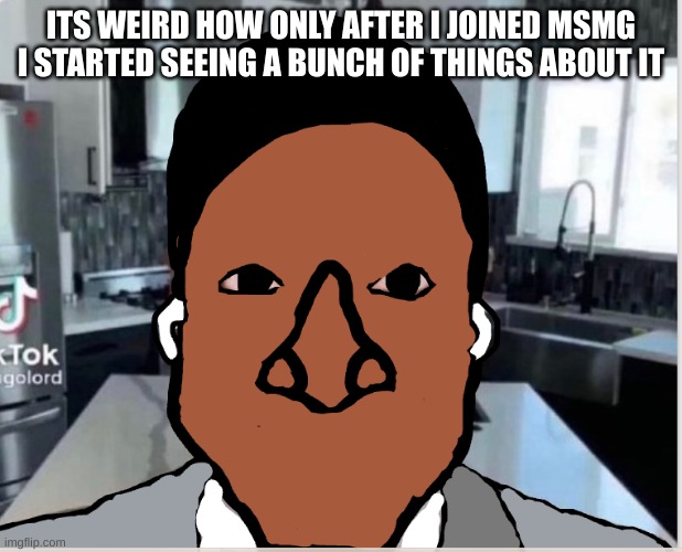 n | ITS WEIRD HOW ONLY AFTER I JOINED MSMG I STARTED SEEING A BUNCH OF THINGS ABOUT IT | image tagged in n | made w/ Imgflip meme maker