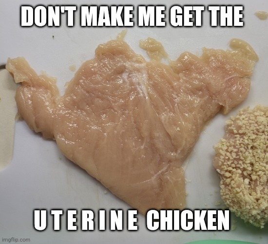 DON'T MAKE ME GET THE; U T E R I N E  CHICKEN | made w/ Imgflip meme maker