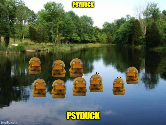 a flock of psyducks | PSYDUCK; PSYDUCK | image tagged in on a lake,pokemon,ducks,memes | made w/ Imgflip meme maker