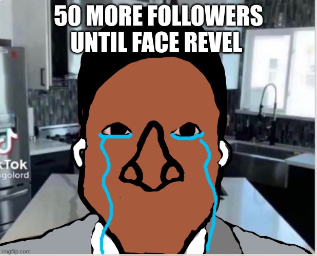 n | 50 MORE FOLLOWERS UNTIL FACE REVEL | image tagged in n | made w/ Imgflip meme maker