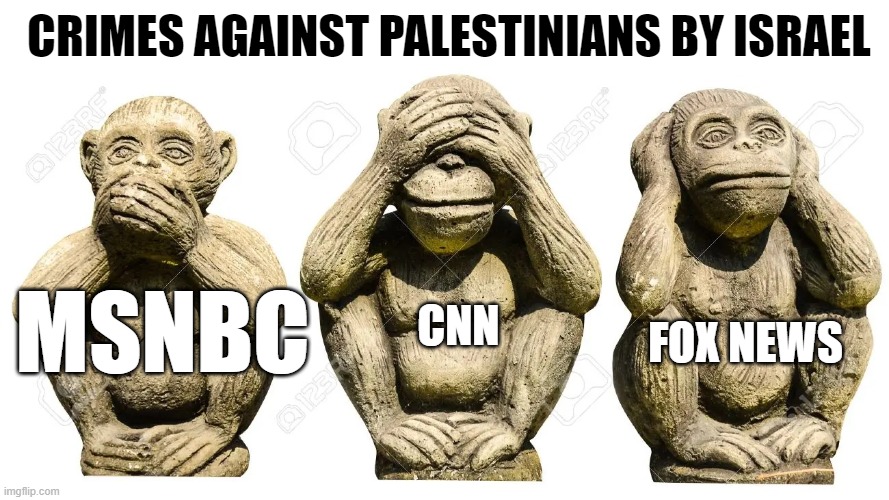 3 monkeys blind deaf and mute | CRIMES AGAINST PALESTINIANS BY ISRAEL; CNN; MSNBC; FOX NEWS | image tagged in 3 monkeys blind deaf and mute | made w/ Imgflip meme maker