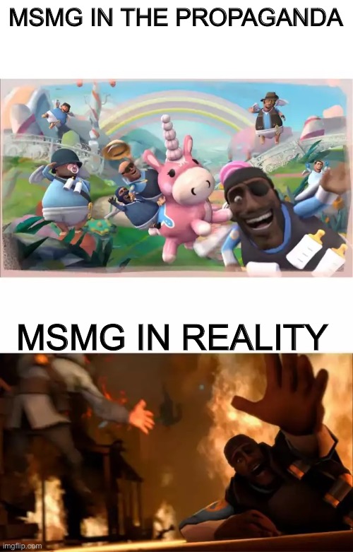 Pyrovision | MSMG IN THE PROPAGANDA; MSMG IN REALITY | image tagged in pyrovision | made w/ Imgflip meme maker