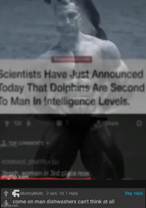 Title goes here fyi | image tagged in title | made w/ Imgflip meme maker