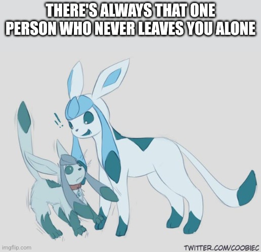 THERE'S ALWAYS THAT ONE PERSON WHO NEVER LEAVES YOU ALONE | image tagged in glaceon | made w/ Imgflip meme maker