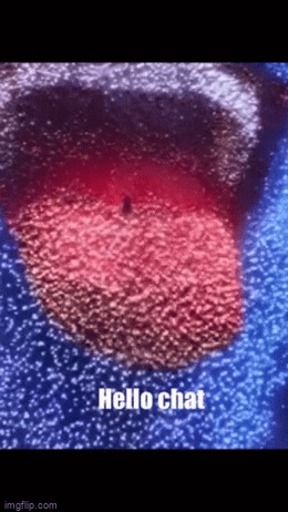 Animated GIF - Imgflip