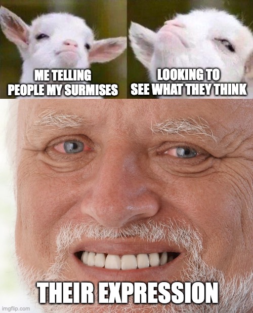 LOOKING TO SEE WHAT THEY THINK; ME TELLING PEOPLE MY SURMISES; THEIR EXPRESSION | image tagged in smug goat,hide the pain harold | made w/ Imgflip meme maker