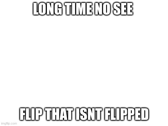 long time no see | LONG TIME NO SEE; FLIP THAT ISNT FLIPPED | image tagged in blank white template | made w/ Imgflip meme maker