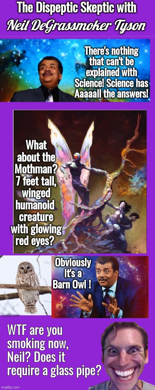 Neil Degrassmoker Tyson mothman is not an owl | The Dispeptic Skeptic with; Neil DeGrassmoker Tyson; Obviously it's a Barn Owl ! WTF are you smoking now, Neil? Does it require a glass pipe? | image tagged in memes | made w/ Imgflip meme maker