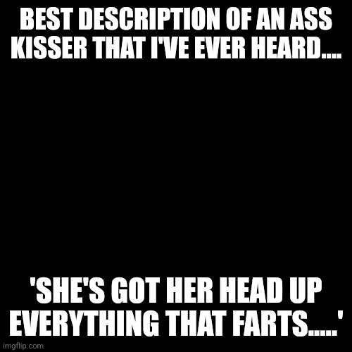 Ass kisser |  BEST DESCRIPTION OF AN ASS KISSER THAT I'VE EVER HEARD.... 'SHE'S GOT HER HEAD UP EVERYTHING THAT FARTS.....' | image tagged in rats,asshole | made w/ Imgflip meme maker