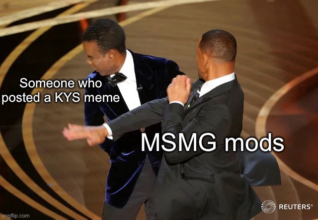 Will Smith punching Chris Rock | Someone who posted a KYS meme; MSMG mods | image tagged in will smith punching chris rock | made w/ Imgflip meme maker