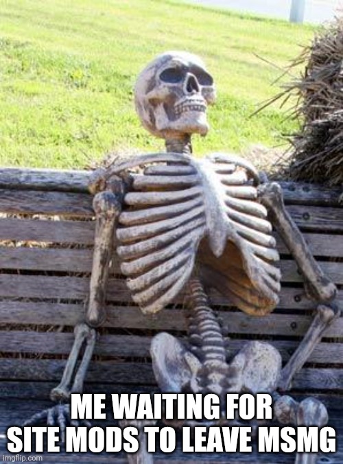 Waiting Skeleton Meme | ME WAITING FOR SITE MODS TO LEAVE MSMG | image tagged in memes,waiting skeleton | made w/ Imgflip meme maker