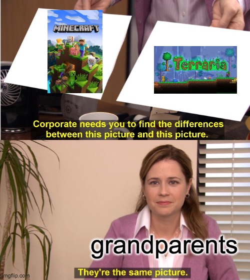 grandparents |  grandparents | image tagged in memes,they're the same picture,minecraft,terraria | made w/ Imgflip meme maker