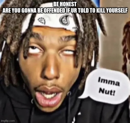 Imma Nut! | BE HONEST
ARE YOU GONNA BE OFFENDED IF UR TOLD TO KILL YOURSELF | image tagged in imma nut | made w/ Imgflip meme maker