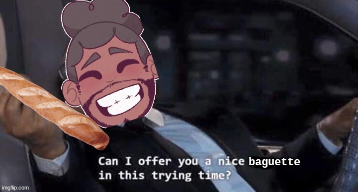 Can I offer you a nice baguette in this trying time? | image tagged in can i offer you a nice baguette in this trying time | made w/ Imgflip meme maker