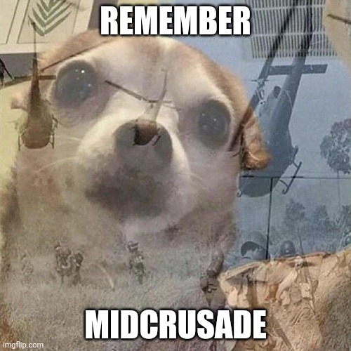 Dog PTSD | REMEMBER; MIDCRUSADE | image tagged in dog ptsd | made w/ Imgflip meme maker